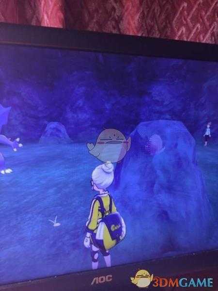 《宝可梦：剑/盾》斗志洞窟地鼠位置分享