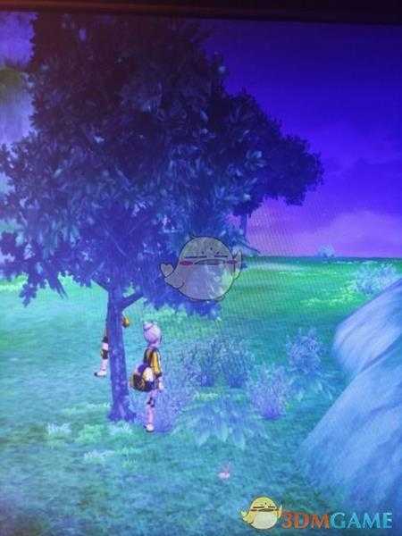 《宝可梦:剑/盾》清凉湿原地鼠位置分享