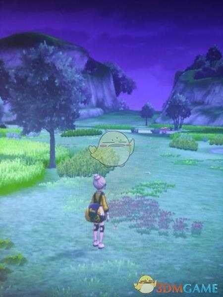 《宝可梦:剑/盾》清凉湿原地鼠位置分享