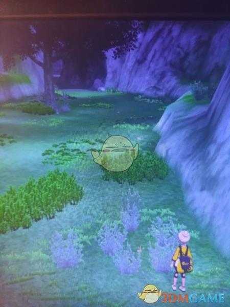 《宝可梦:剑/盾》清凉湿原地鼠位置分享
