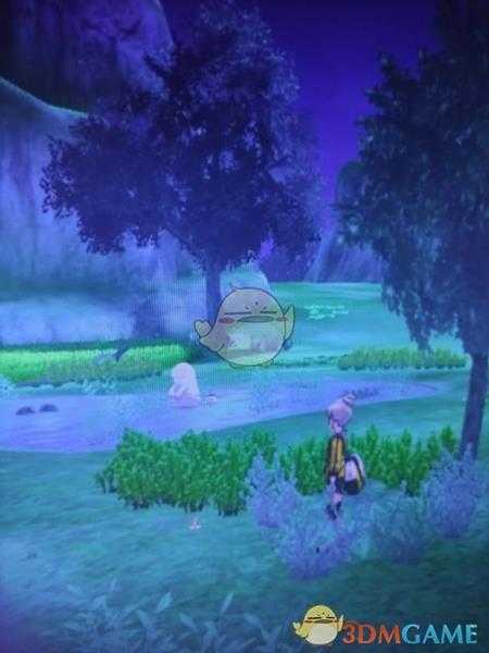 《宝可梦:剑/盾》清凉湿原地鼠位置分享