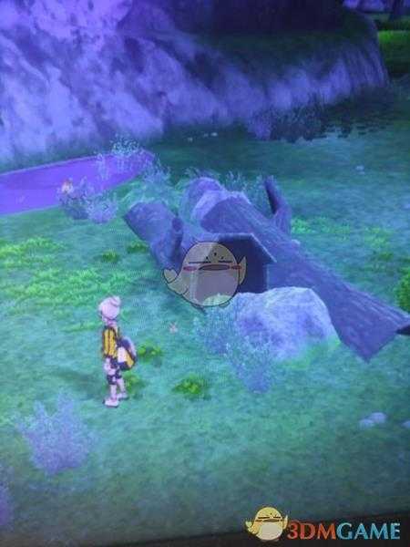 《宝可梦:剑/盾》清凉湿原地鼠位置分享