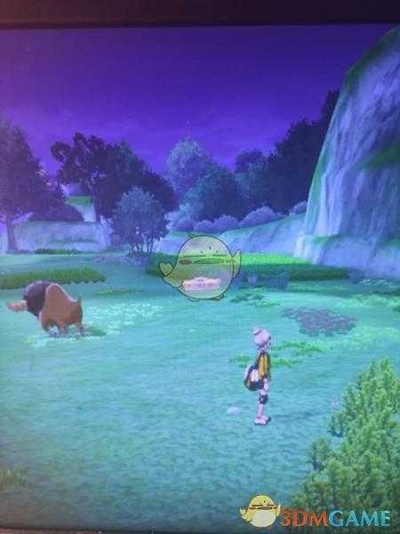 《宝可梦:剑/盾》清凉湿原地鼠位置分享