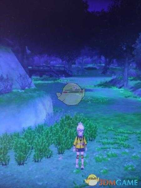 《宝可梦:剑/盾》清凉湿原地鼠位置分享