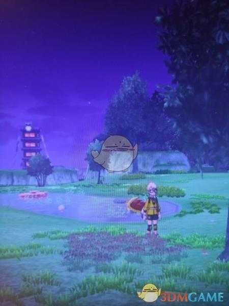 《宝可梦:剑/盾》清凉湿原地鼠位置分享