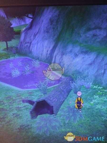 《宝可梦:剑/盾》清凉湿原地鼠位置分享