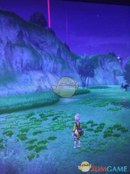 《宝可梦:剑/盾》清凉湿原地鼠位置分享