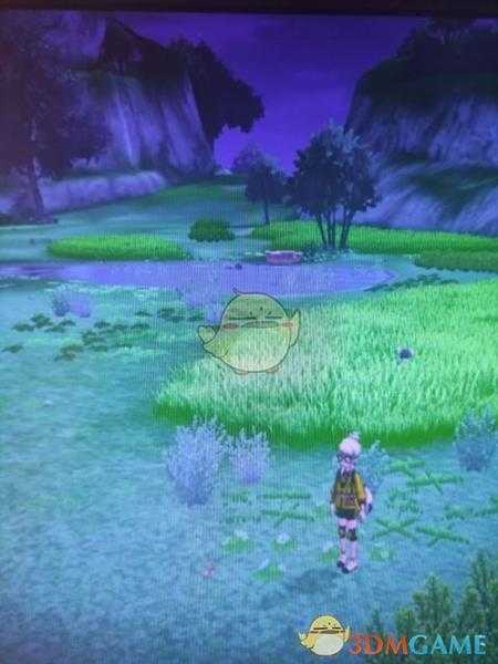 《宝可梦:剑/盾》清凉湿原地鼠位置分享