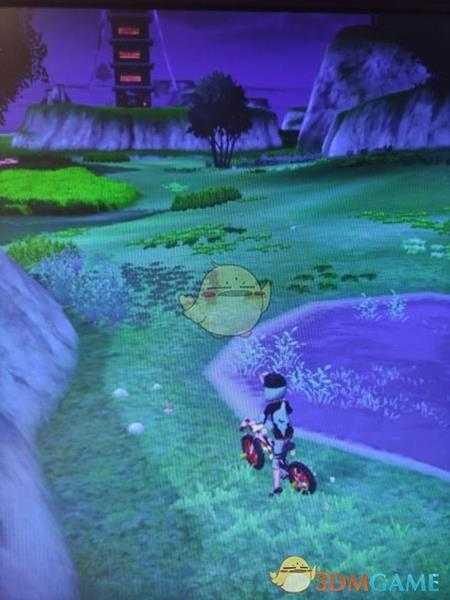 《宝可梦:剑/盾》清凉湿原地鼠位置分享