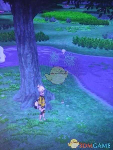 《宝可梦:剑/盾》清凉湿原地鼠位置分享