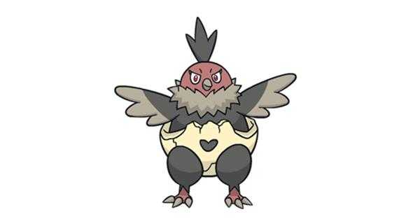 《宝可梦:剑/盾》铠之孤岛秃鹰丫头图鉴