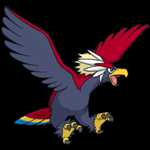 《宝可梦：剑/盾》铠之孤岛勇士雄鹰图鉴