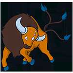 《宝可梦：剑/盾》铠之孤岛肯泰罗图鉴