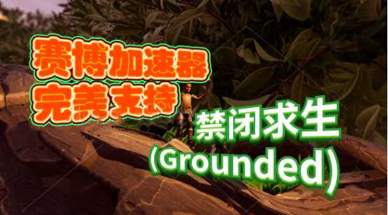 《禁闭求生(Grounded)》新手怎么玩联机？赛博加速器带你上手