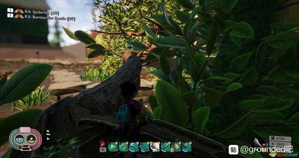 《Grounded》鸟浴台位置介绍