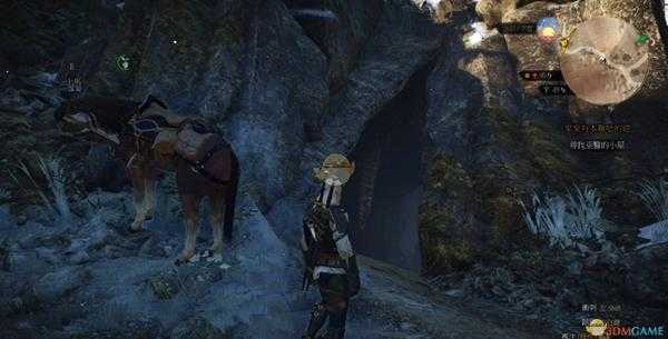 《巫师3:狂猎》艾琳尼亚眼材料位置分享