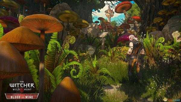 《巫师3:狂猎》全次要武器代码一览