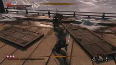 《只狼:影逝二度》弦一郎及一心新招式一览