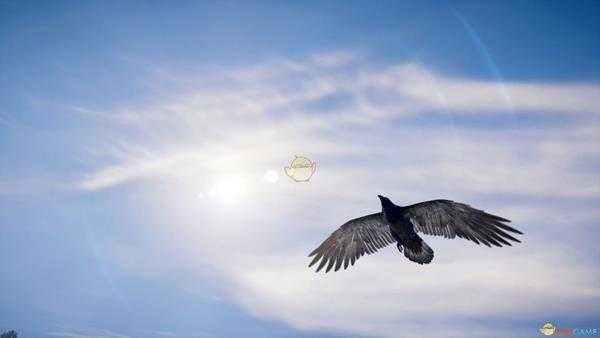 《刺客信条:英灵殿》提尔猛踢技能使用心得技巧分享