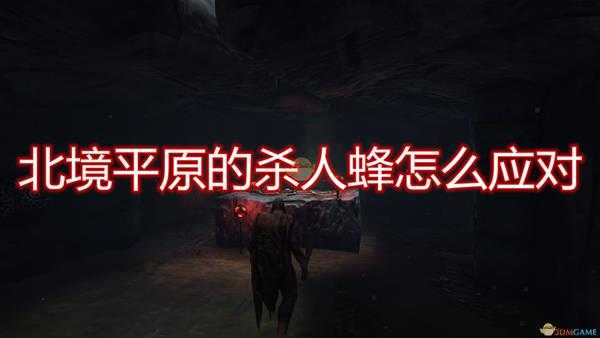 《Valheim:英灵神殿》北境平原杀人蜂应对方法介绍