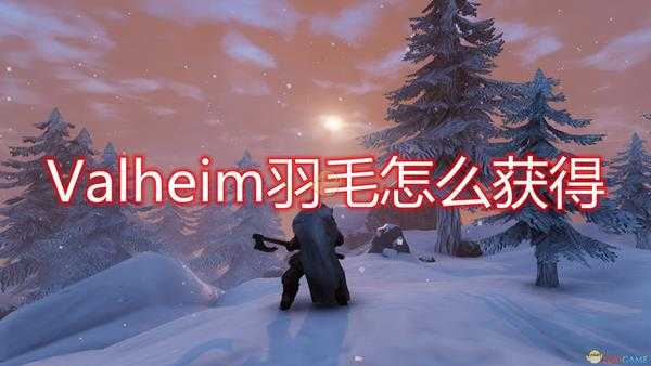 《Valheim:英灵神殿》羽毛获取流程介绍