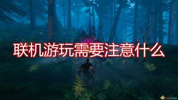 《Valheim:英灵神殿》联机游玩注意事项分享