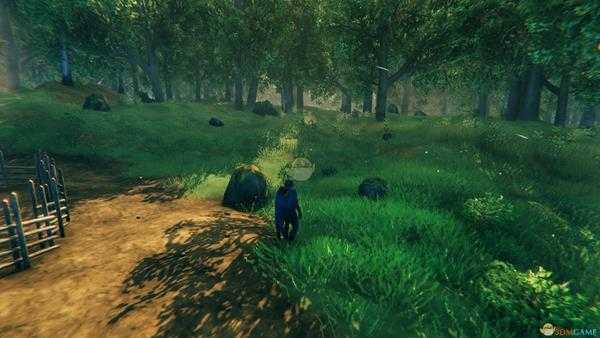 《valheim:英灵神殿》画面设置指南