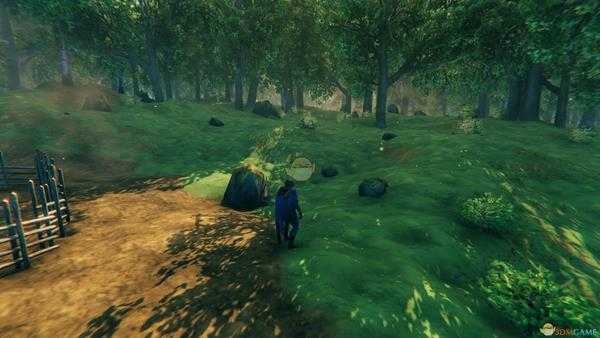 《valheim:英灵神殿》画面设置指南