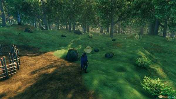 《valheim:英灵神殿》画面设置指南