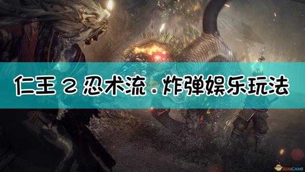 《仁王2》忍术流.炸弹娱乐玩法配装指南