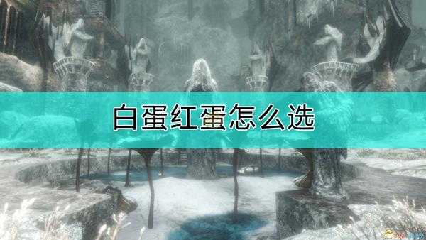 《帕斯卡契约:终极版》白蛋红蛋选择问题