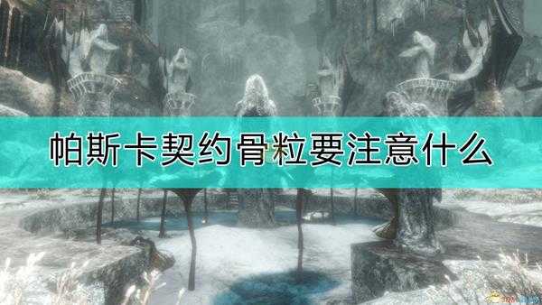 《帕斯卡契约:终极版》骨粒注意事项