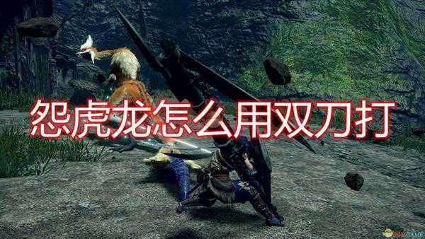 《怪物猎人:崛起》怨虎龙双刀打法攻略分享