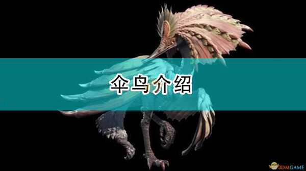 《怪物猎人:崛起》伞鸟介绍