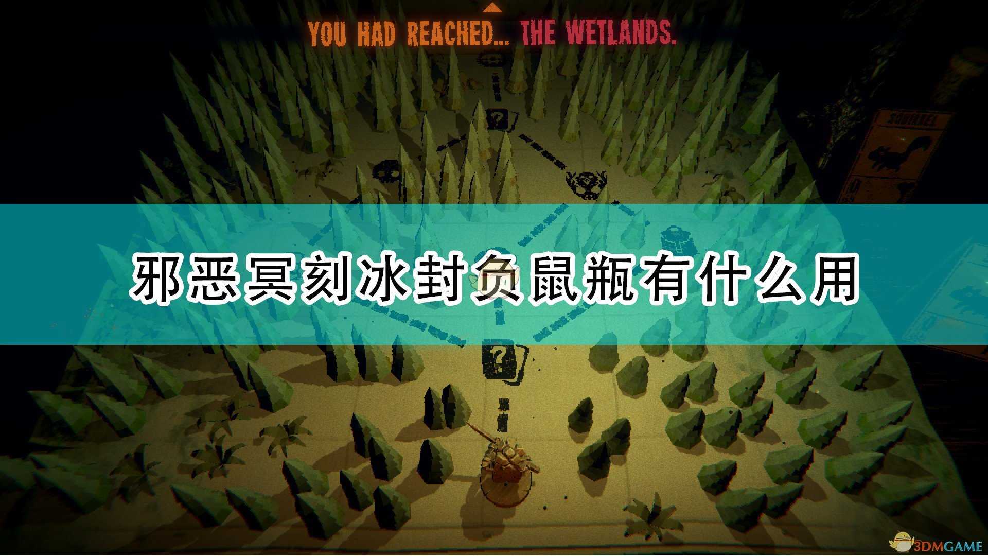 《邪恶冥刻》冰封负鼠瓶道具效果及使用心得分享