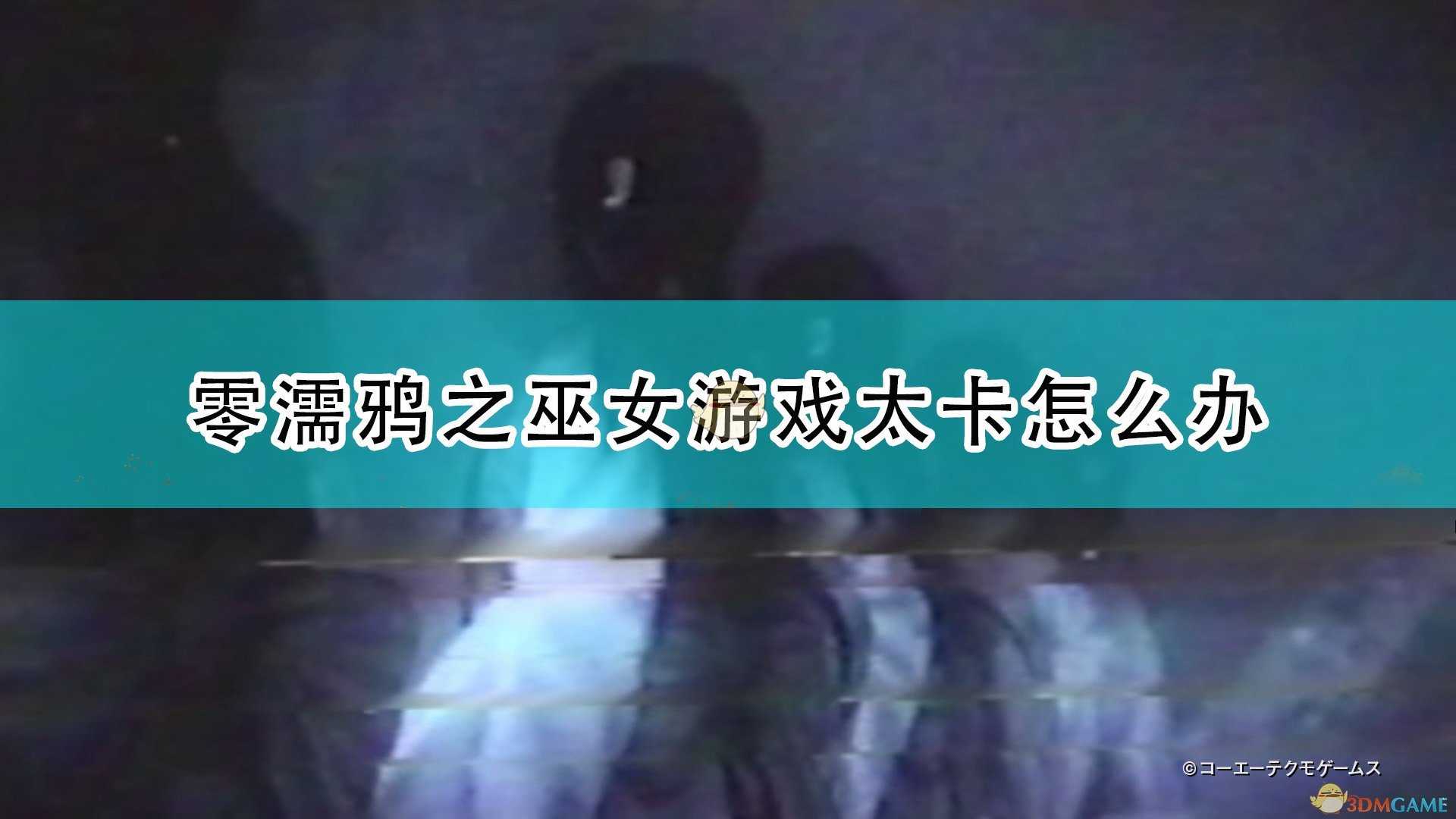 《零:濡鸦之巫女》游戏卡顿问题解决方法介绍