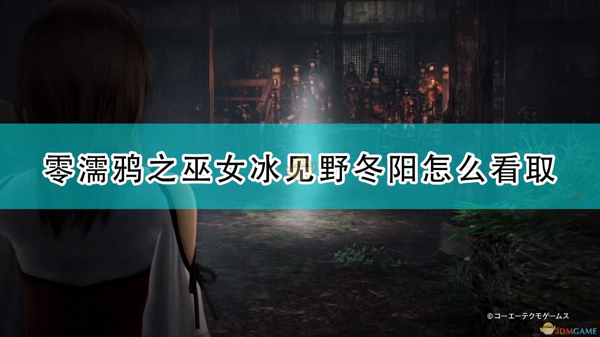 《零:濡鸦之巫女》冰见野冬阳看取方法推荐