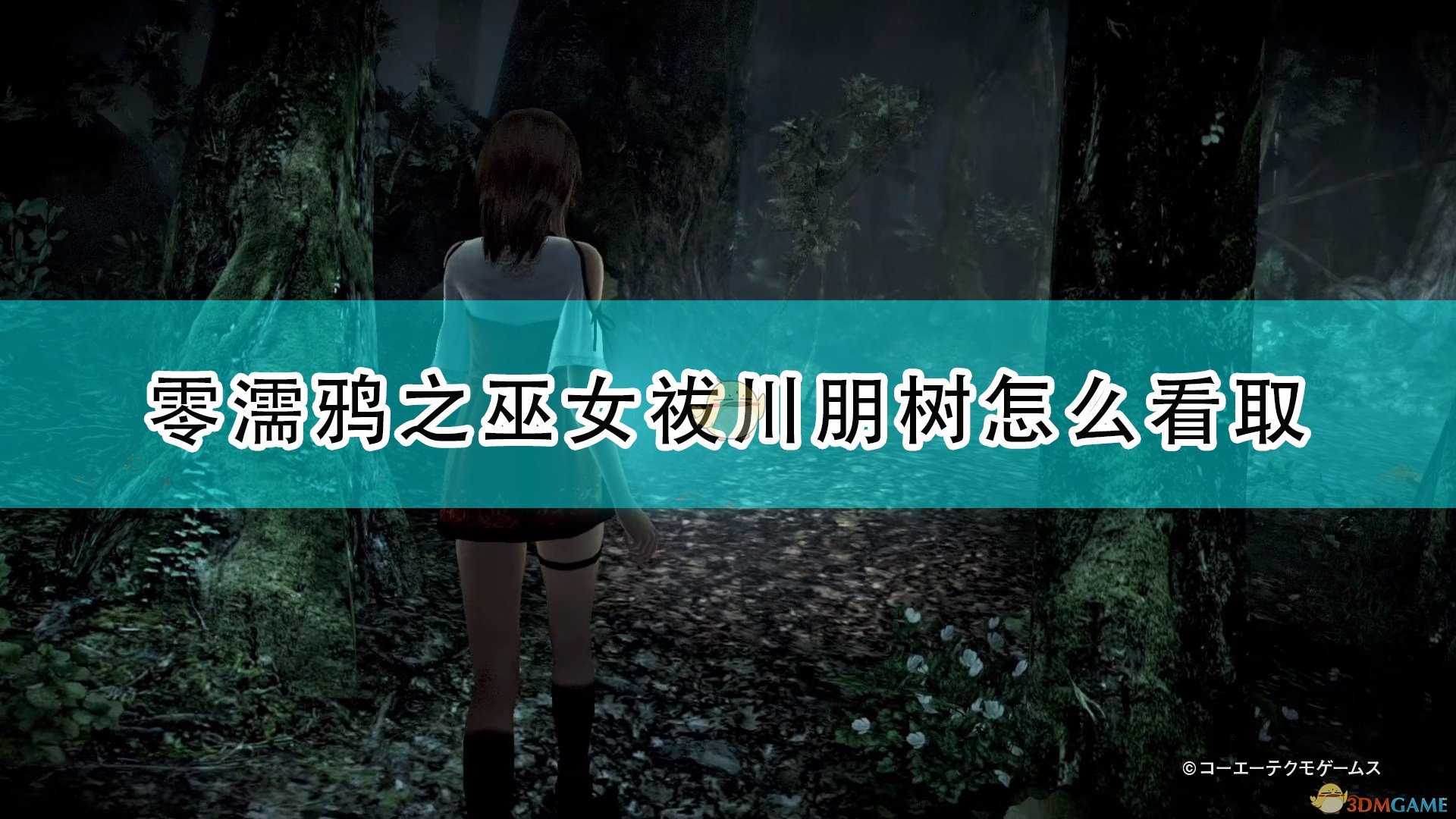《零:濡鸦之巫女》祓川朋树看取方法推荐