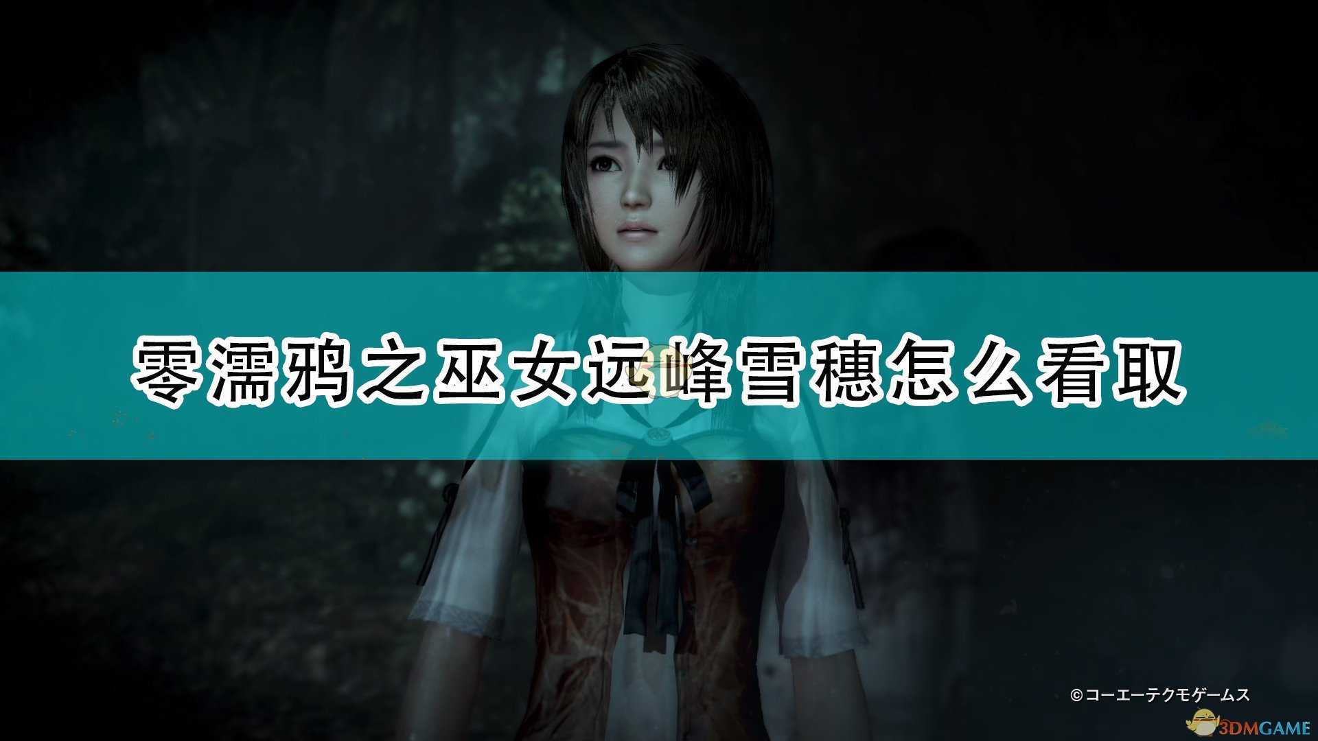 《零:濡鸦之巫女》远峰雪穗看取方法推荐