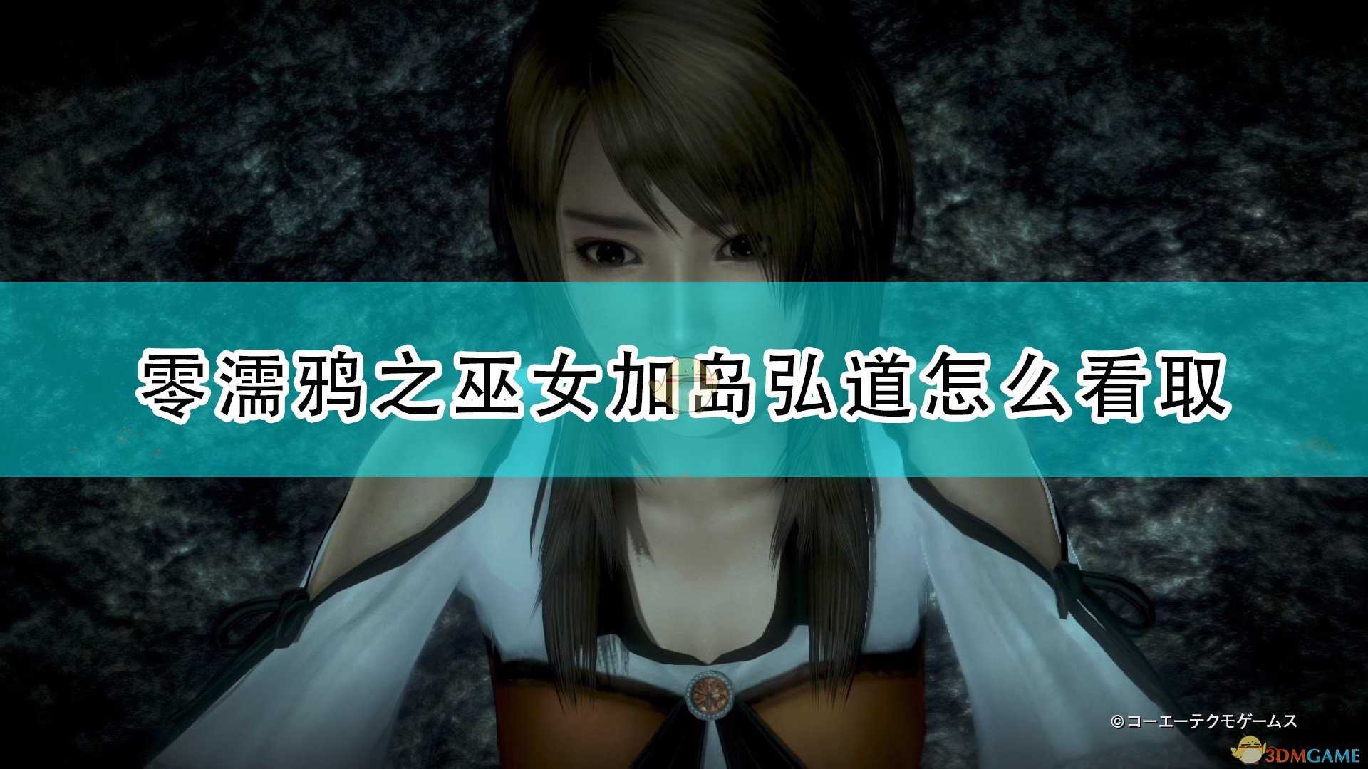 《零:濡鸦之巫女》加岛弘道看取方法推荐