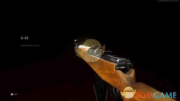 《使命召唤18:先锋》Gew 43步枪枪械介绍