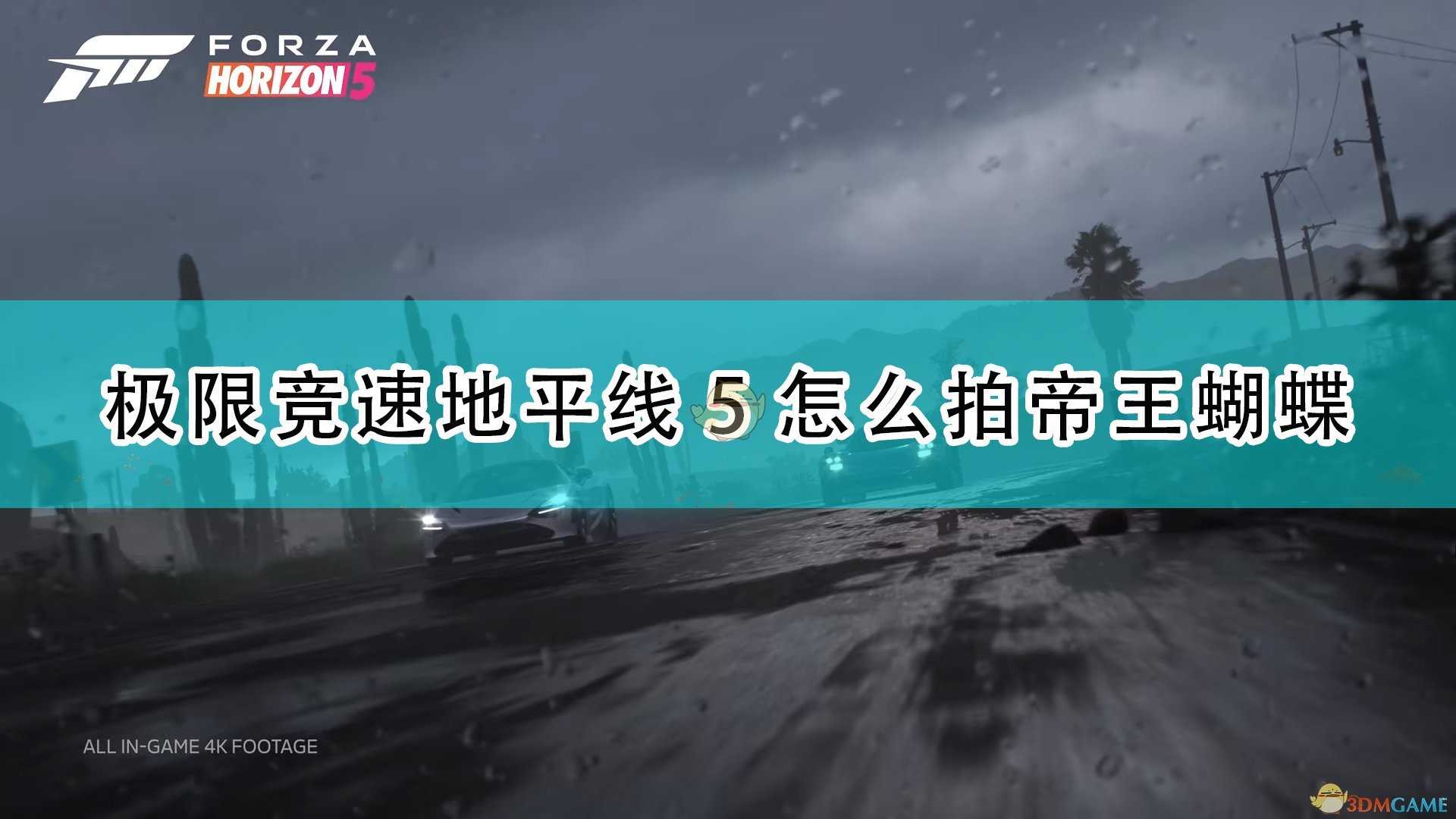 《极限竞速:地平线5》拍帝王蝴蝶方法介绍