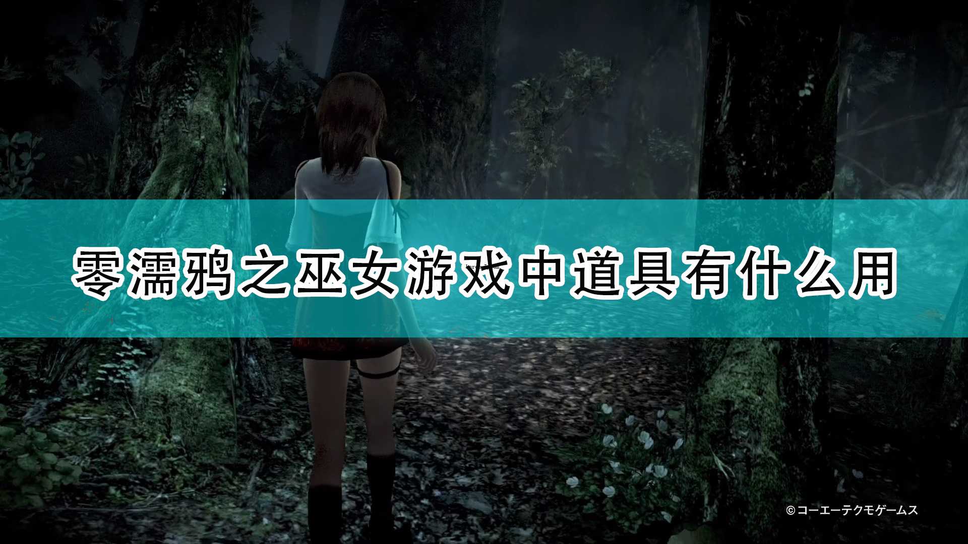 《零:濡鸦之巫女》游戏全道具作用介绍