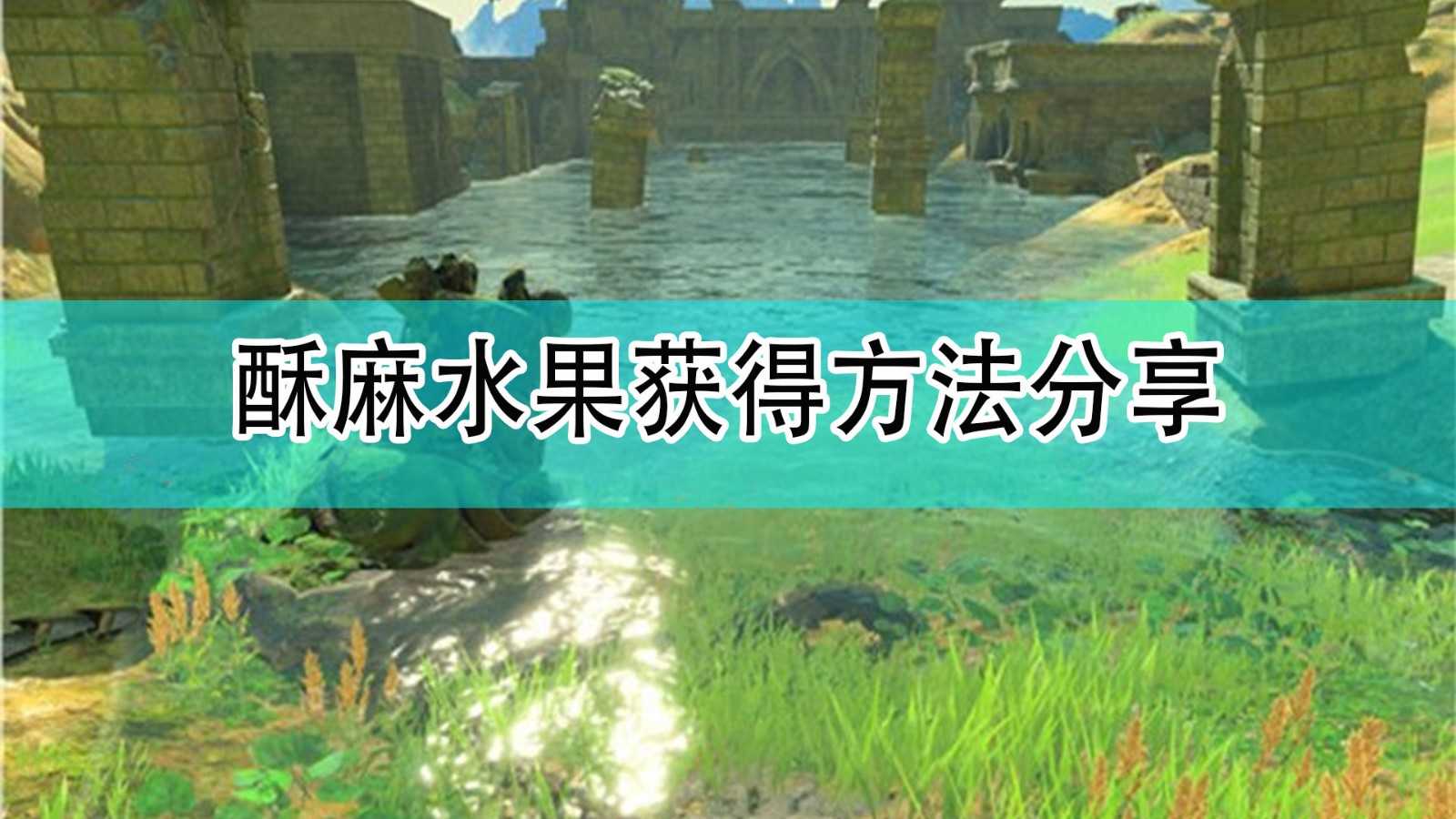 《塞尔达传说:旷野之息》酥麻水果获得方法分享