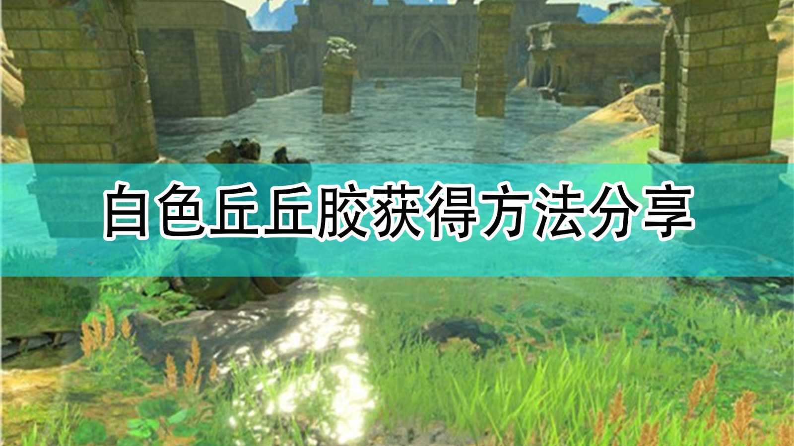 《塞尔达传说:旷野之息》白色丘丘胶获得方法分享