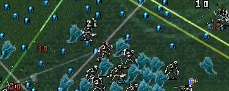 吸血鬼幸存者经验值满值怎么看