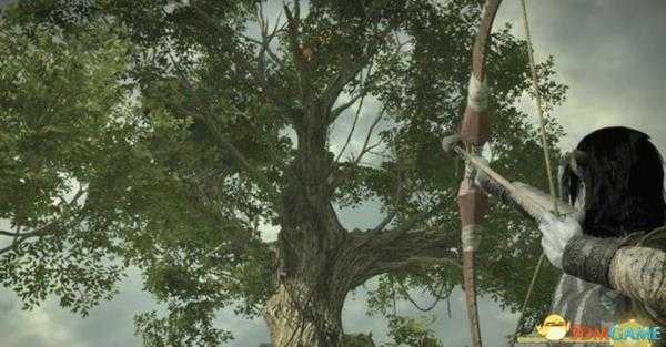 旺达与巨像白金成就路线攻略