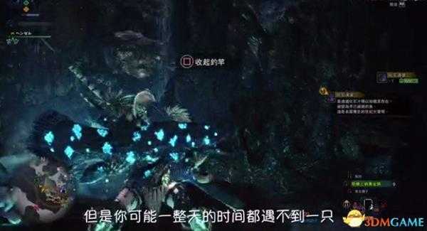 怪物猎人世界奇珍异兽捕捉攻略