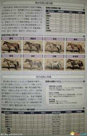 真三国无双8全马匹能力值成长值一览