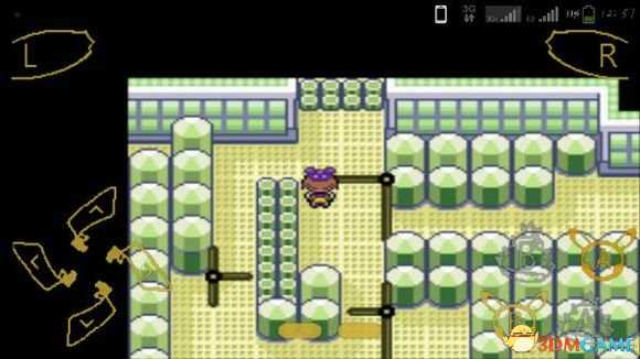 口袋妖怪漆黑的魅影迷宫道馆走法图览